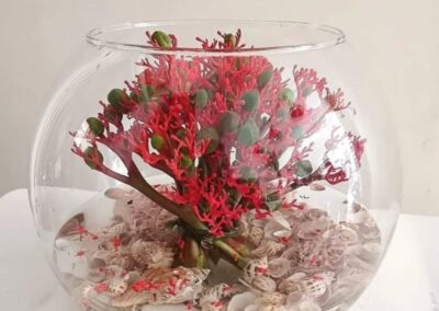 Vases and Flowers